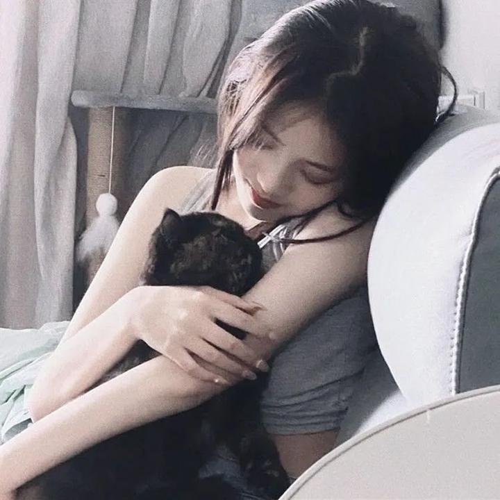 执法风云